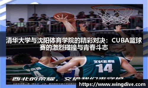 熊猫体育官网