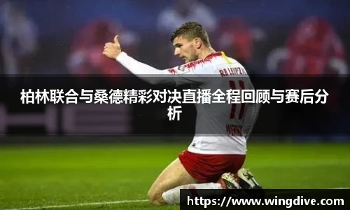 熊猫体育官网