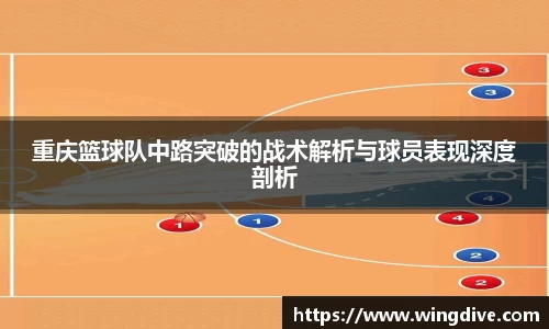 熊猫体育