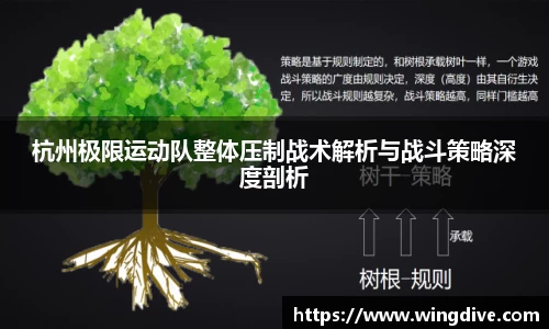 熊猫体育平台